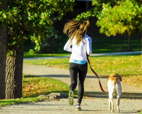 493b0030d52ed929fdcba7d1d30764b0_s