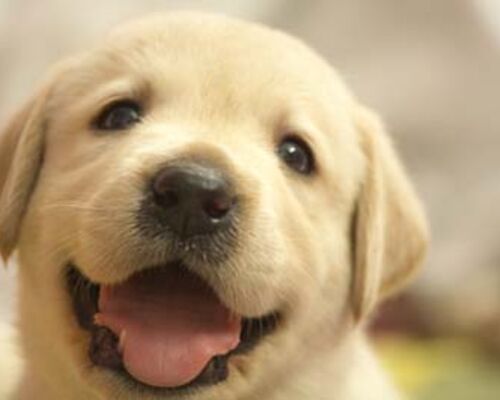 1-31981ce00b89e3c6e6b19954a8c13b86_s